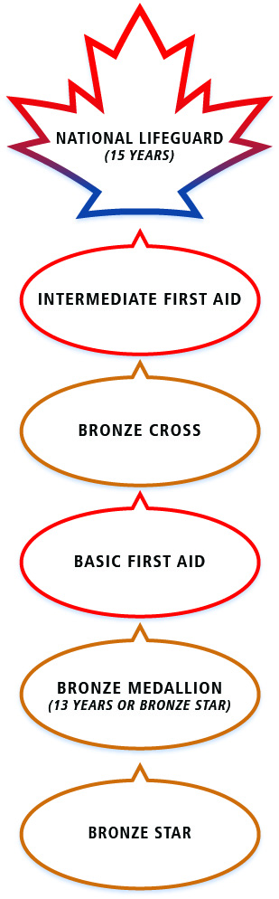 Lifeguard Flow Chart